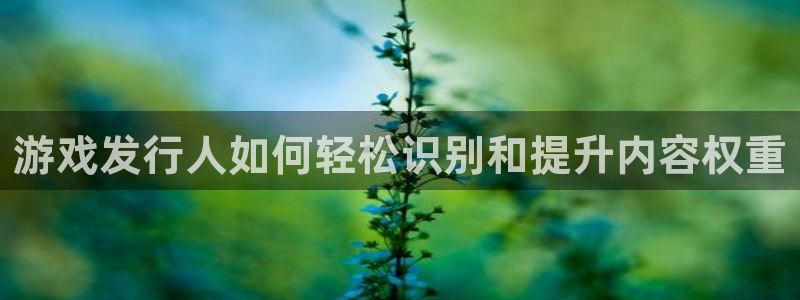 门徒娱乐注册平台：游戏发行人如何轻松识别和提升内容权重