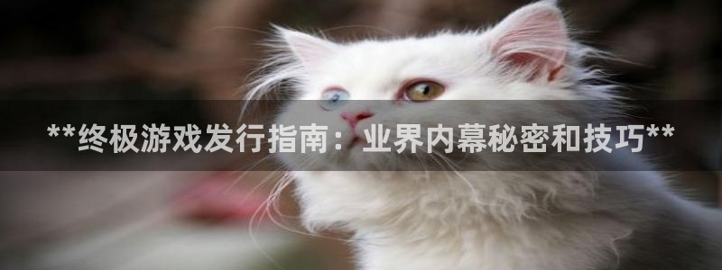 门徒娱乐怎么注册公司：**终极游戏发行指南：业界内幕秘密和技巧**