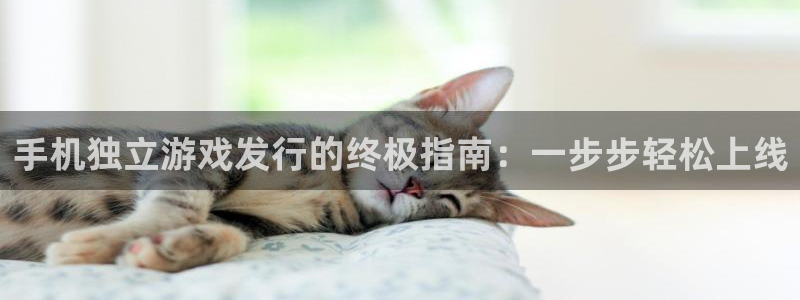 门徒娱乐下载手机版最新版：手机独立游戏发行的终极指南：一步步轻松上线