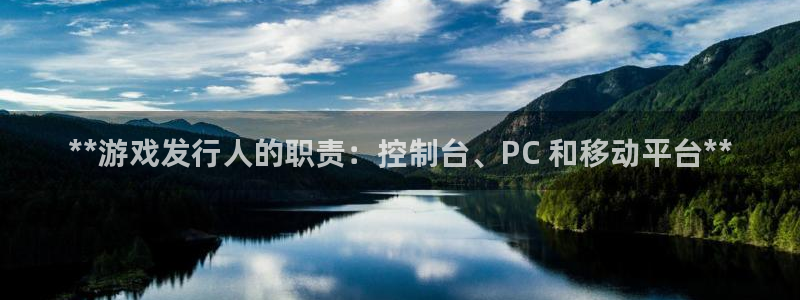 门徒平台家 5O6917 门徒：**游戏发行人的职责：控制台、PC 和移动平台**