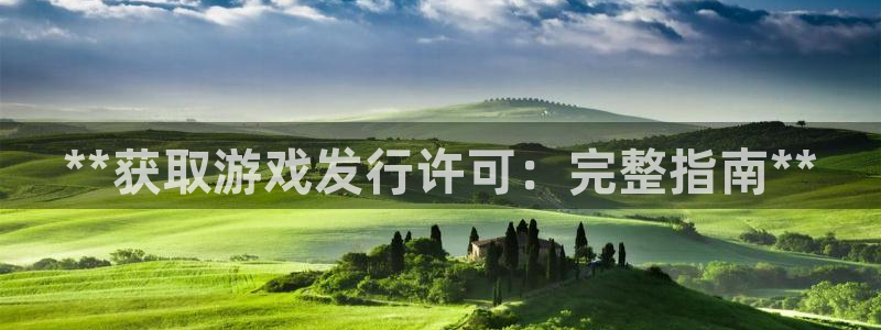 门徒娱乐充值安全吗可靠吗：**获取游戏发行许可：完整指南**