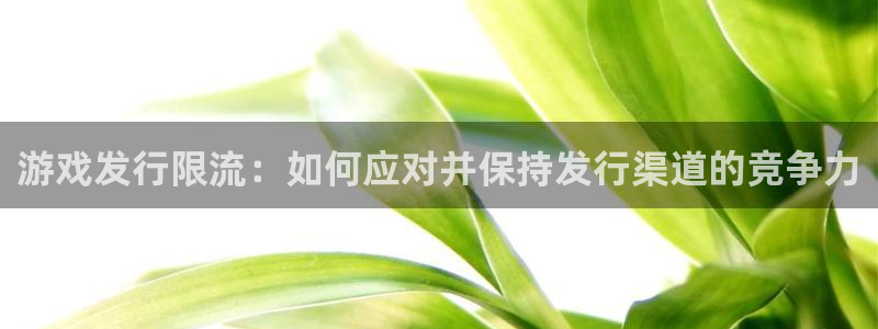 门徒娱乐带你赚钱套路是真的吗：游戏发行限流：如何应对并保持发行渠道的竞争力
