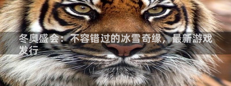 门徒平台测速网址是多少：冬奥盛会：不容错过的冰雪奇缘，最新游戏
发行