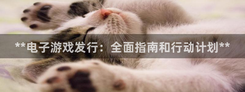 门徒娱乐充值安全吗可靠吗：**电子游戏发行：全面指南和行动计划**