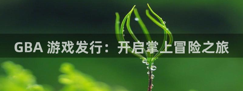门徒在哪个平台可以看：GBA 游戏发行：开启掌上冒险之旅