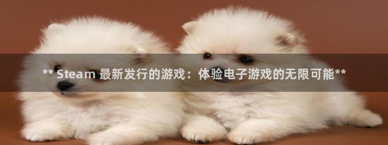 门徒娱乐控制器：** Steam 最新发行的游戏：体验电子游戏的无限可能**