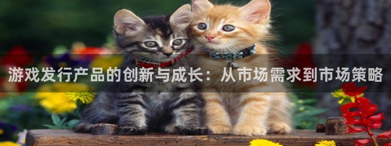 门徒平台开户怎么开的