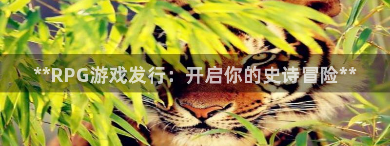 门徒娱乐吧：**RPG游戏发行：开启你的史诗冒险**